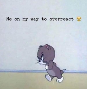 fac6e204c2a1b55586e21c4737d2c0c4056d660c5ed2786a22296cddb322ebc1_1.jpg.jpg