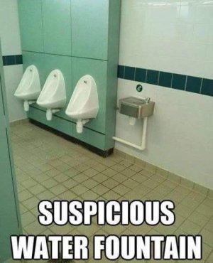 FB_IMG_1698088586179.jpg