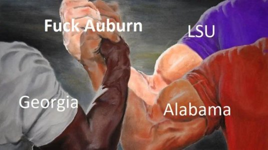 i3t5dymb9ku31.jpg