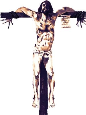 magicut_1718745000322.png