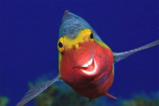 1621550753130.png