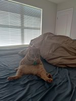 IMG_20210522_091329.jpg