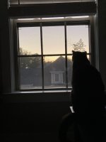 861E85FF-E37D-4AE6-85E8-4278A8A01AB2.jpeg