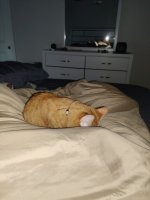 IMG_20210523_053652.jpg