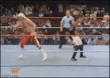 funny-gif-wrestling.gif