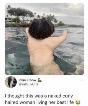 GVjH4HYWYAAHkUO.jpg
