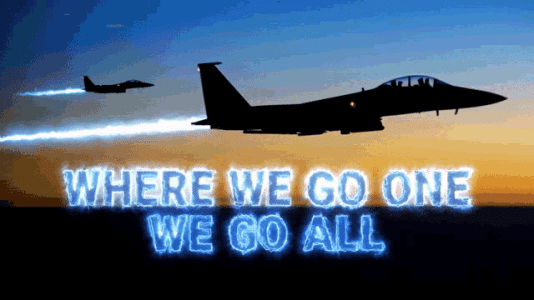 wwg1wga-where-we-go-one-we-go-all.gif