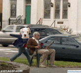 F627FF80-5490-4683-90DC-5D0A6E27514E.gif