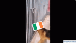 5819B6A6-D9F7-4DAD-ADFA-16D1638230C7.gif