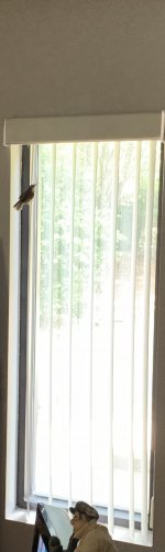 D94A94FF-F967-458C-BA18-3701CB64C66C.jpeg