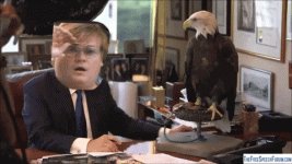F9F43D75-A589-407A-8BDE-B2DA773E3853.gif