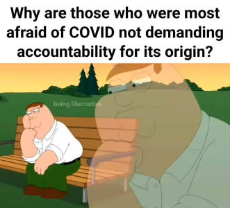 1746230349527.png
