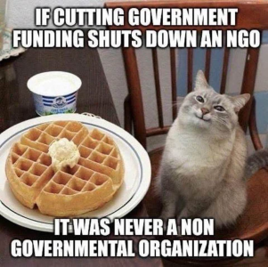 1746485045785.png
