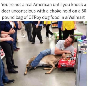 1746897426575.png