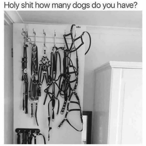1746983371142.png