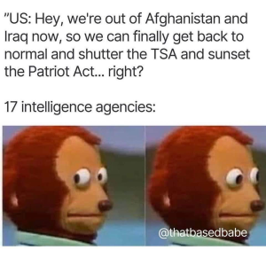 1747328207915.png