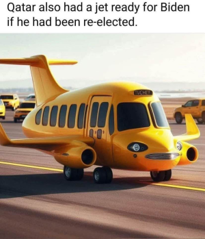1747409829446.png