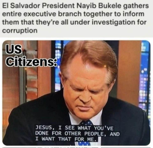 1747495685466.png