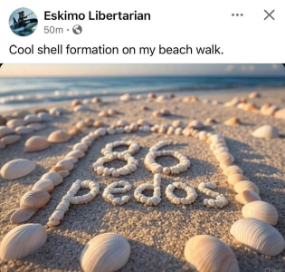 1747495769933.png