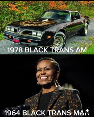 1000000206.jpg