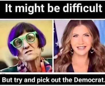1747591299062.png