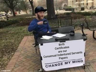9qp526.jpg
