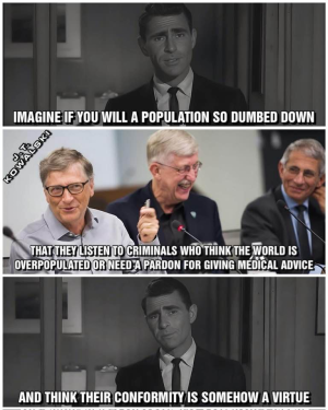 1747751264650.png