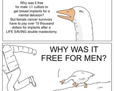 1747826263146.png