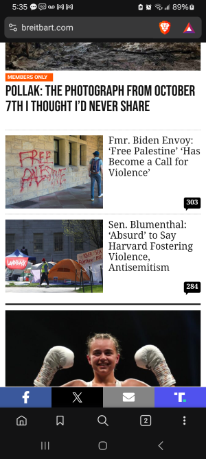 Screenshot_20250523_173547_Brave.png
