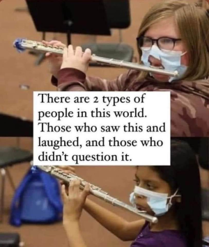 1748130379415.png