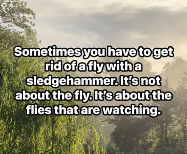 1748197541085.png