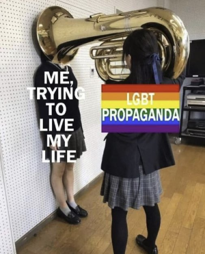 1748257699886.png
