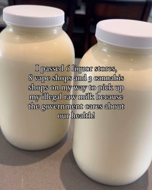 IMG_0541.jpeg