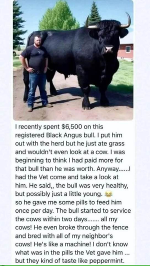 1748801503217.png