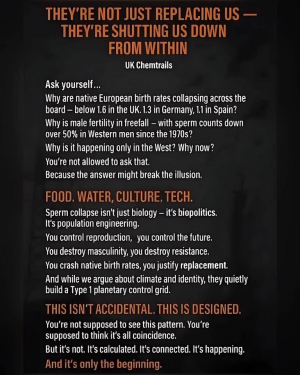 1749926337279.png