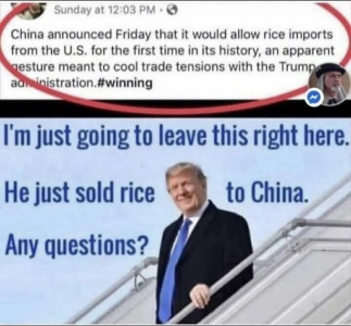 1750088262888.png