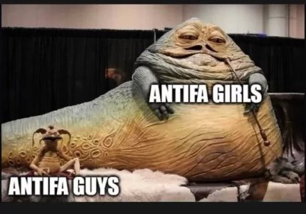GtzFiUeXcAAsckS.jpeg