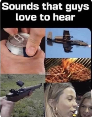 1750363399058.png
