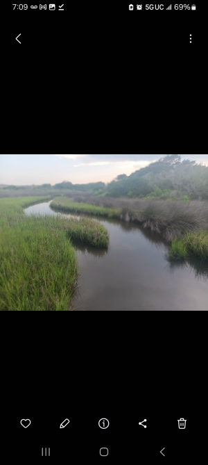 Screenshot_20250620_190906_Gallery.png