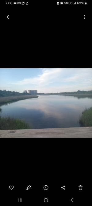 Screenshot_20250620_190857_Gallery.png