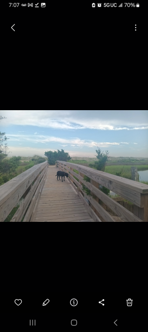 Screenshot_20250620_190758_Gallery.png