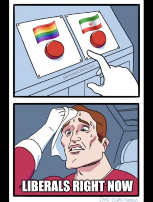 1750607038303.png