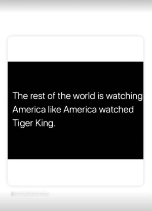 1750732965296.png