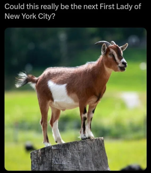 1751279991486.png