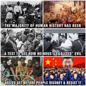 1751327022320.png