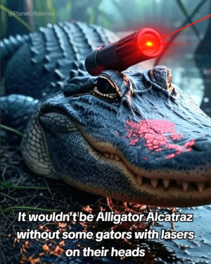1751383712383.png