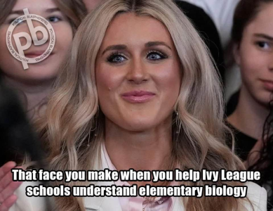 1751568382383.png