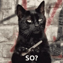 1751573087940.gif
