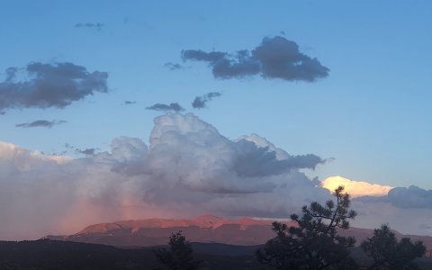 20250705_202303.jpg