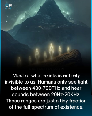 1751986919629.png